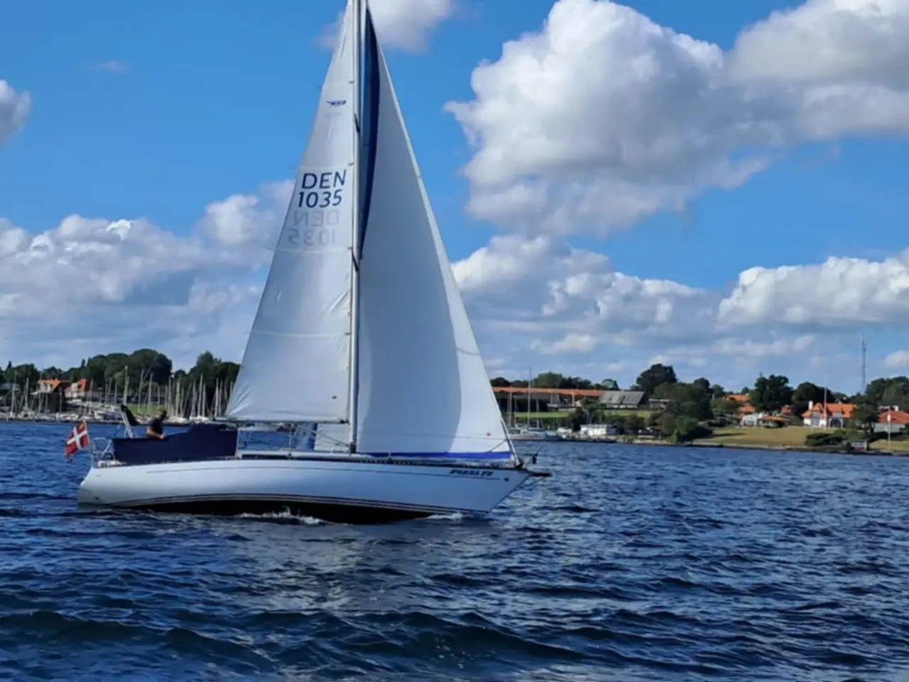 Billede 2 - NEDSAT Blue Dane 32 opdateret kvalitetsklassiker