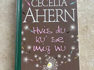 Hvis du ku se mig nu bog