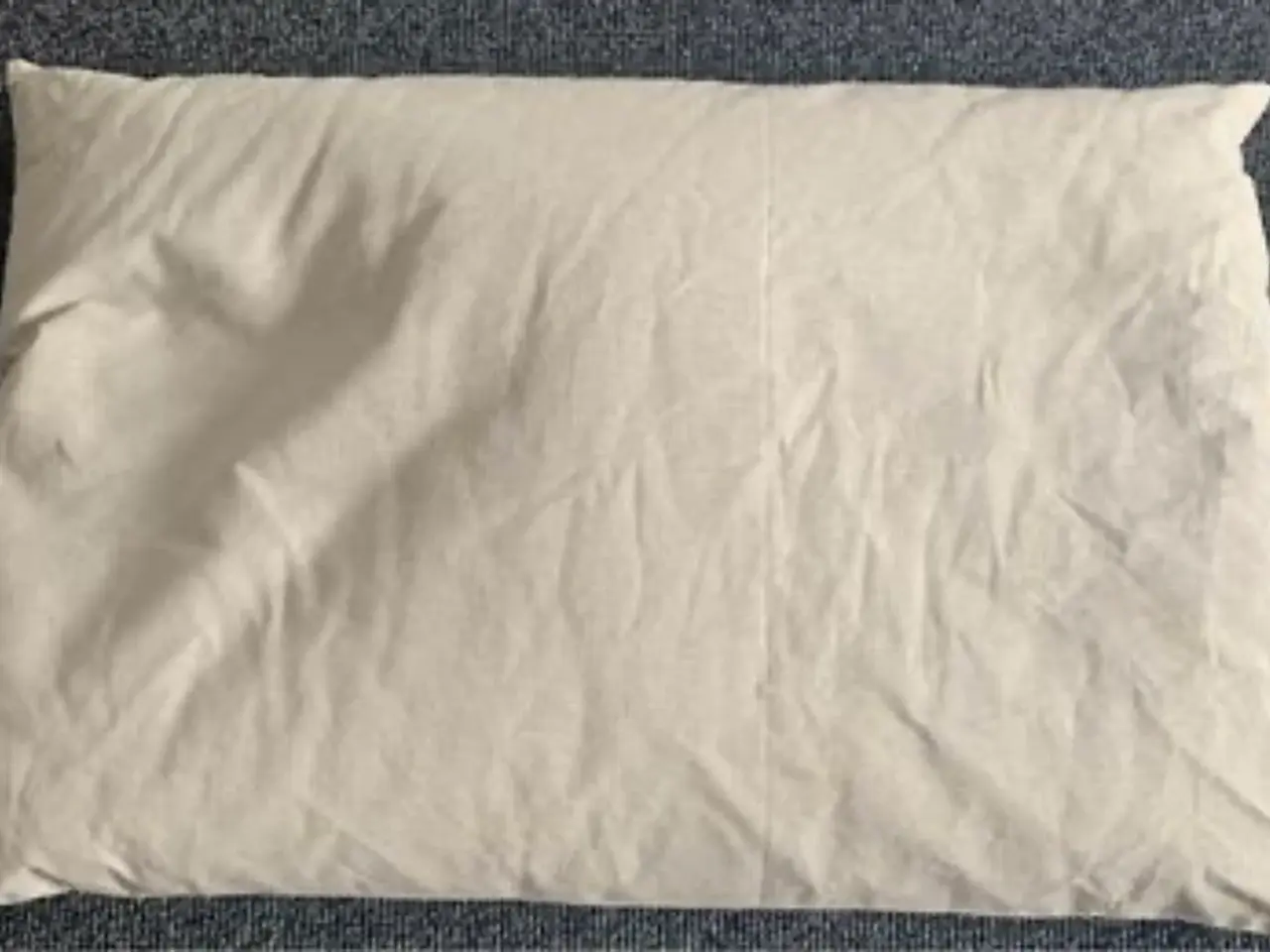 Billede 3 - Hovedpude 40*60 Cm. Boghvedeskaller Ca 2300 g