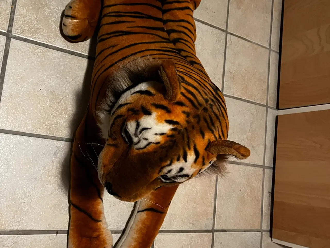 Billede 4 - Stor tiger (bamse)