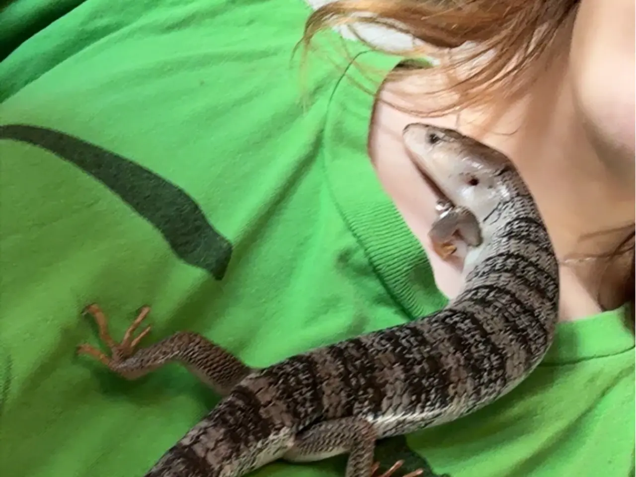 Billede 4 - Snegle skink