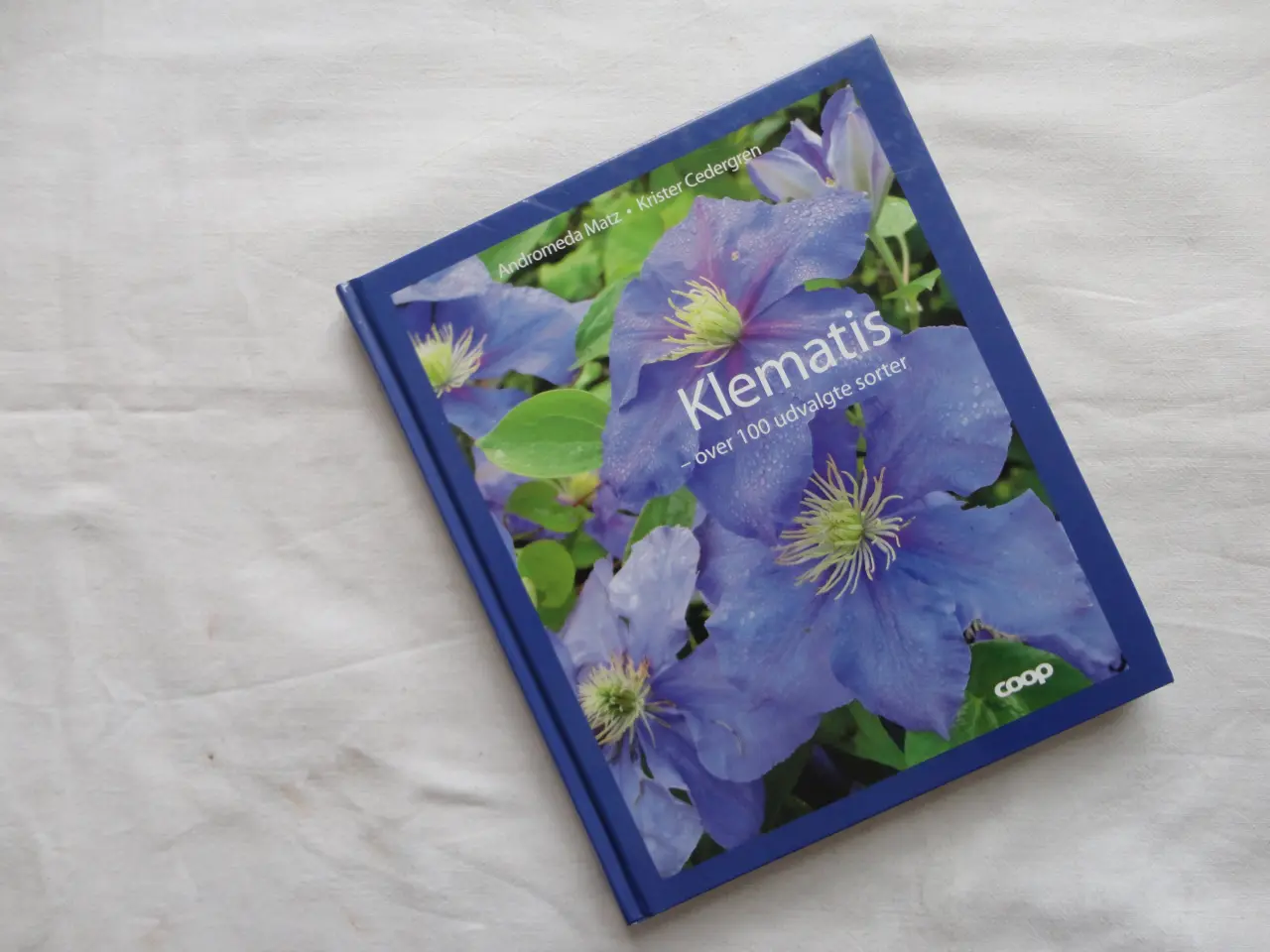 Billede 5 - Clematis - Klematis :