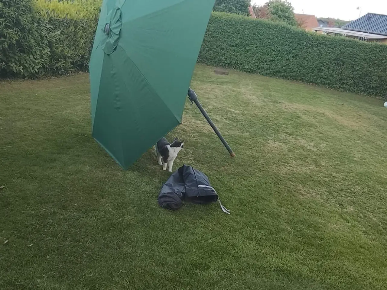Billede 2 - Jeg sælger en parasol, som er virkelig stor og næs