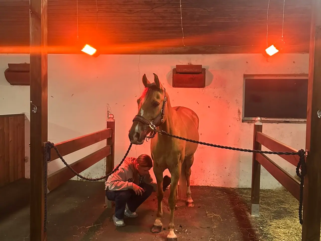 Billede 2 - 2'er pony