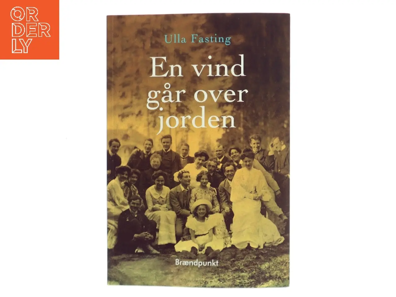 Billede 1 - En vind går over jorden : roman af Ulla Fasting (Bog)