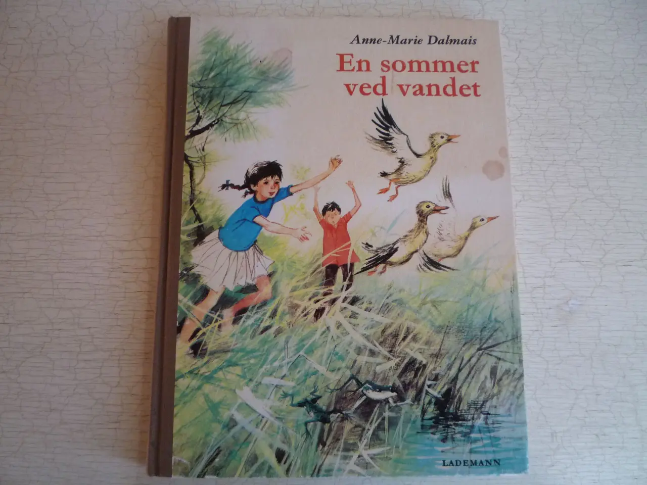 Billede 1 - En sommer ved vandet