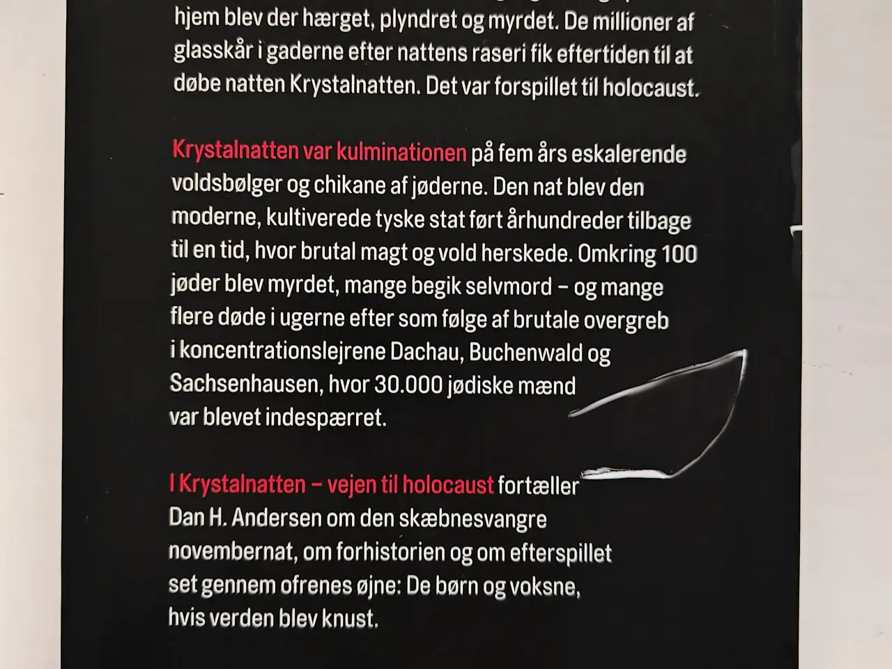 Billede 2 - Krystalnatten - vejen til Holocaust