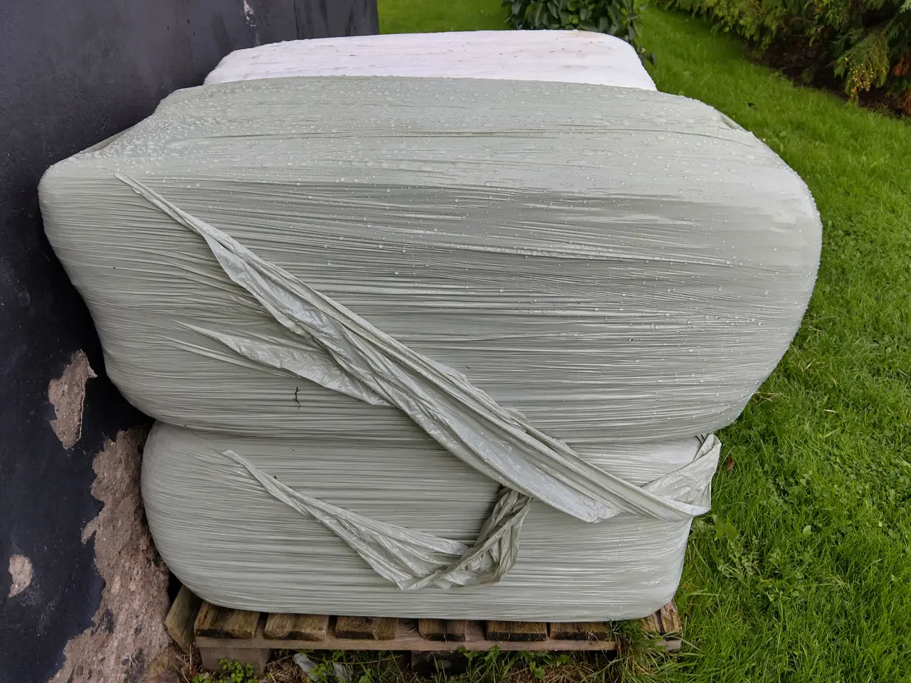Billede 1 - Wrap hø til heste