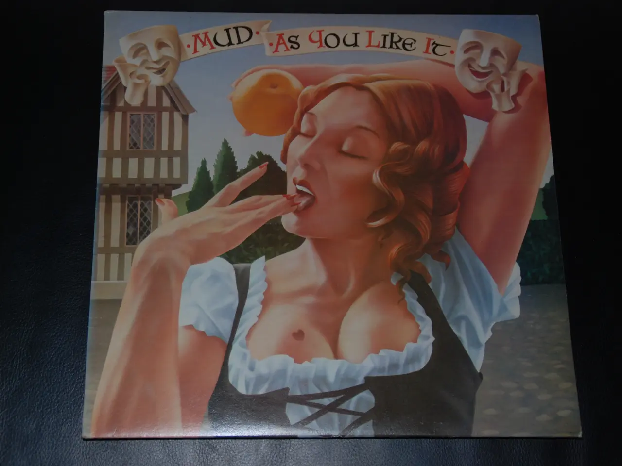 Billede 1 - 3 stk. LP - MUD