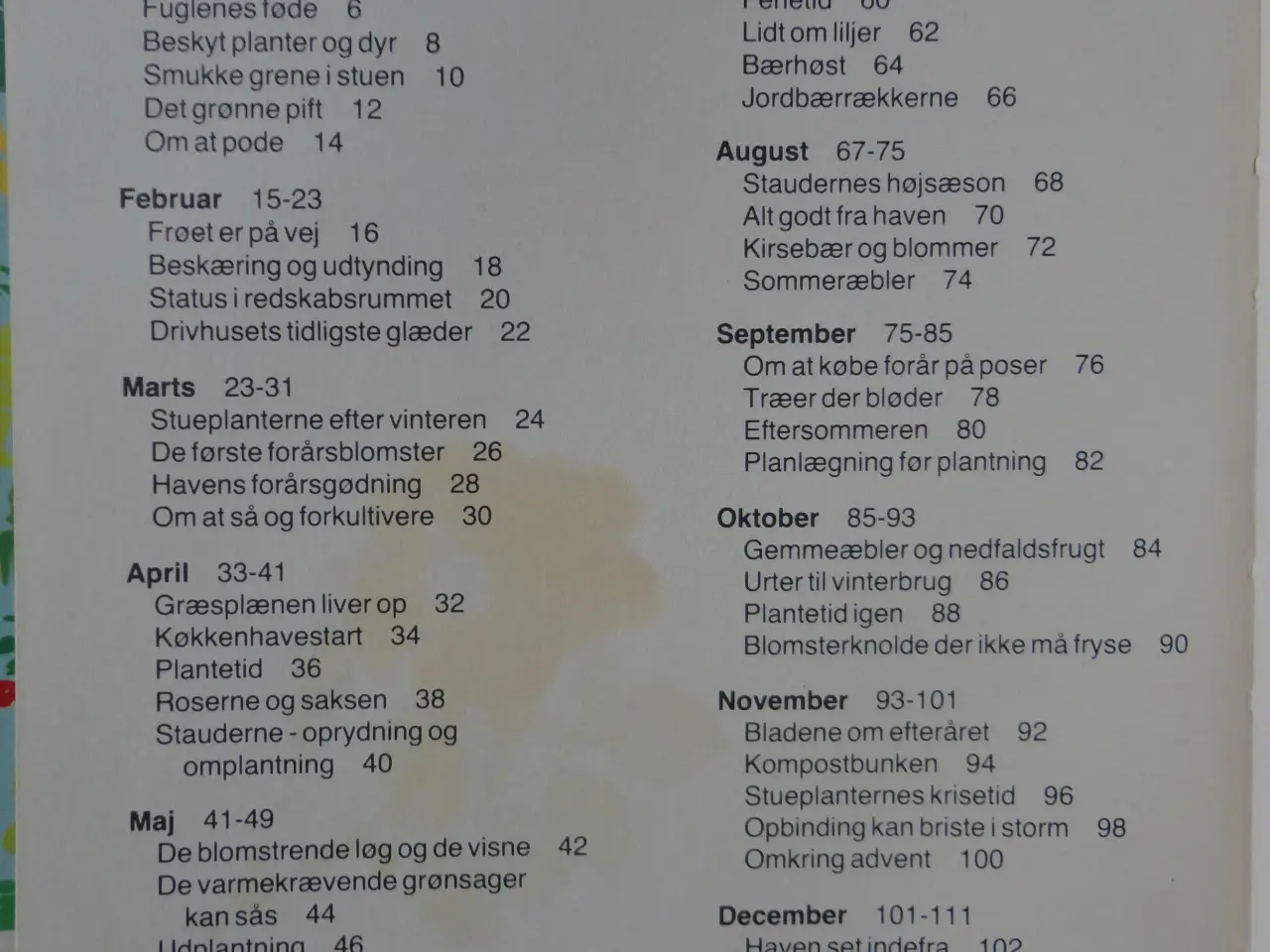 Billede 2 - Have Dagbog :