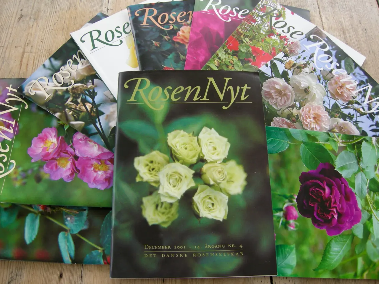 Billede 1 - ROSEN NYT, DET DANSKE ROSENSELSKAB, ROSER, HAVEN