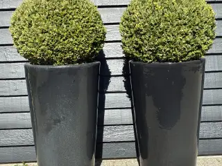 2 krukker
