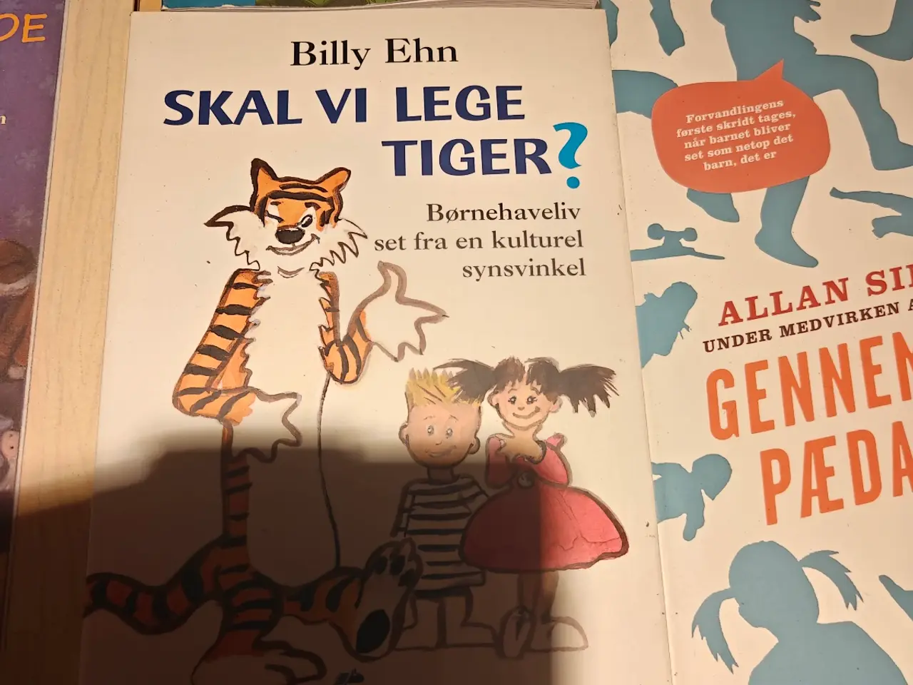 Billede 17 - Studiebøger fra pædagoguddannelsen 