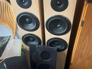 Audiovector højtaler