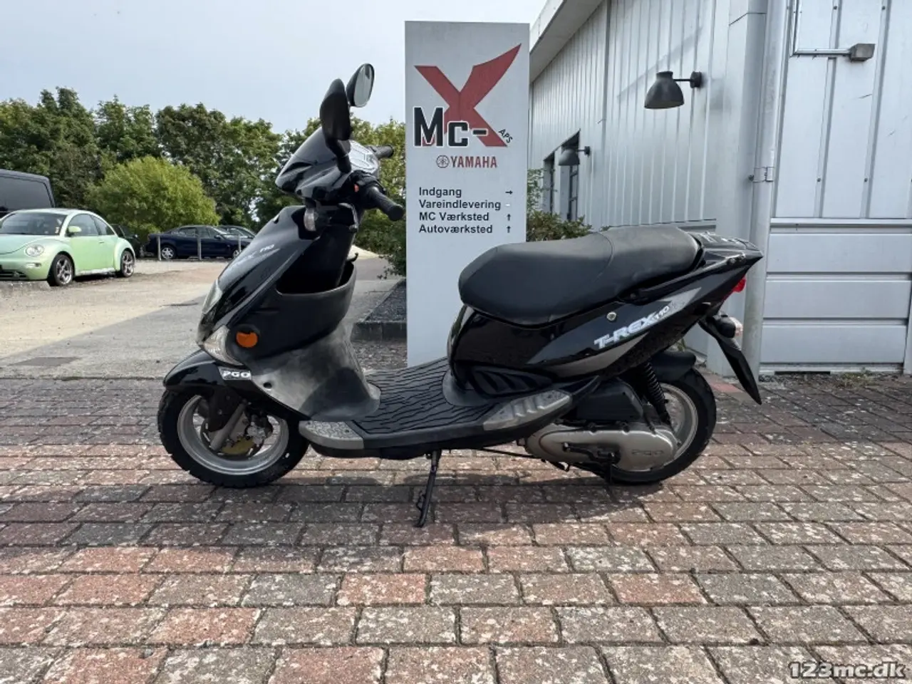 Billede 2 - PGO T-Rex 110