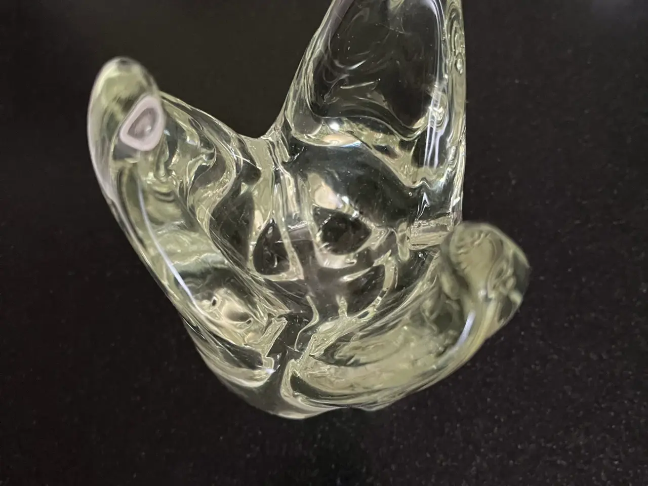 Billede 4 - Stor tand i glas