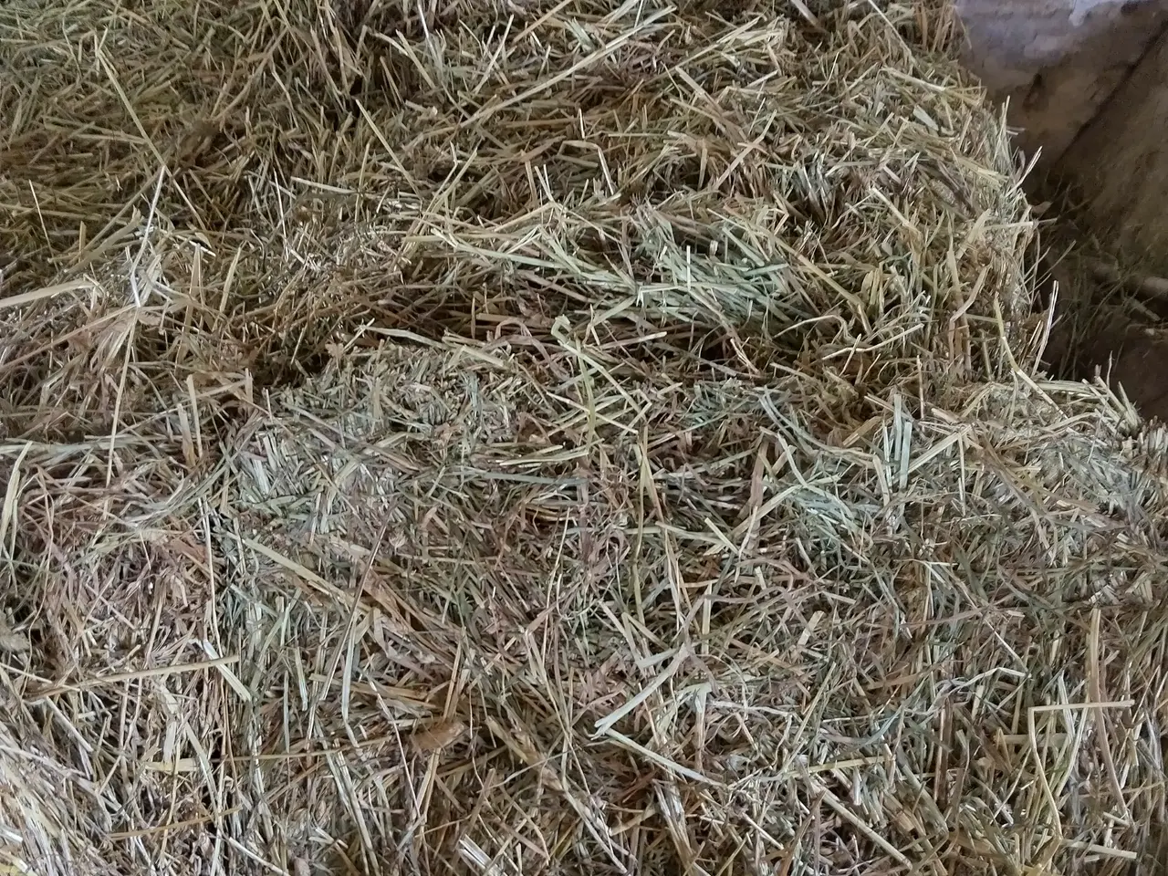 Billede 3 - Wrap hø til heste