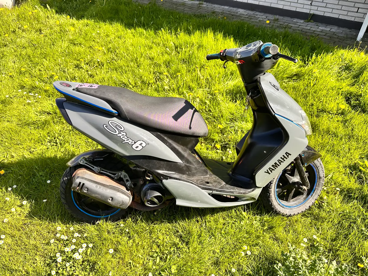 Billede 3 - Lovlig Jog r fra før plade loven