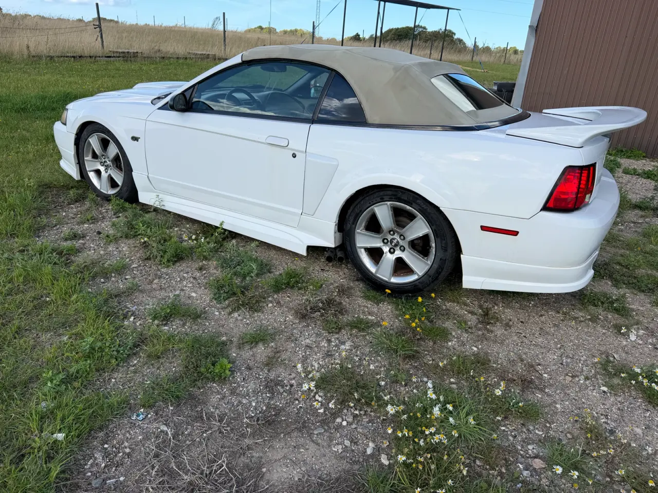 Billede 1 - Mustang 4.6 v8