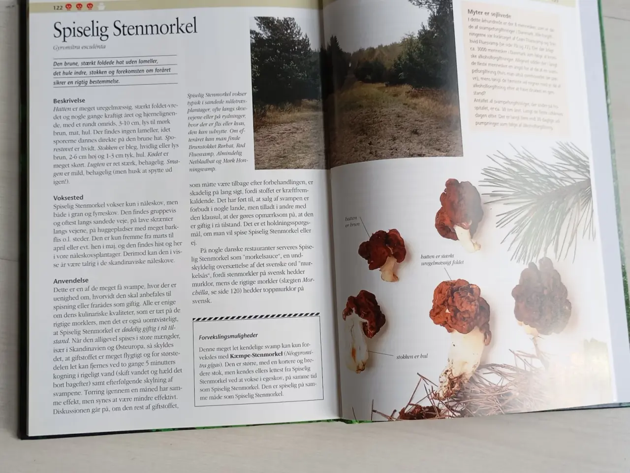 Billede 8 - Politikens Visuelle Svampebog
