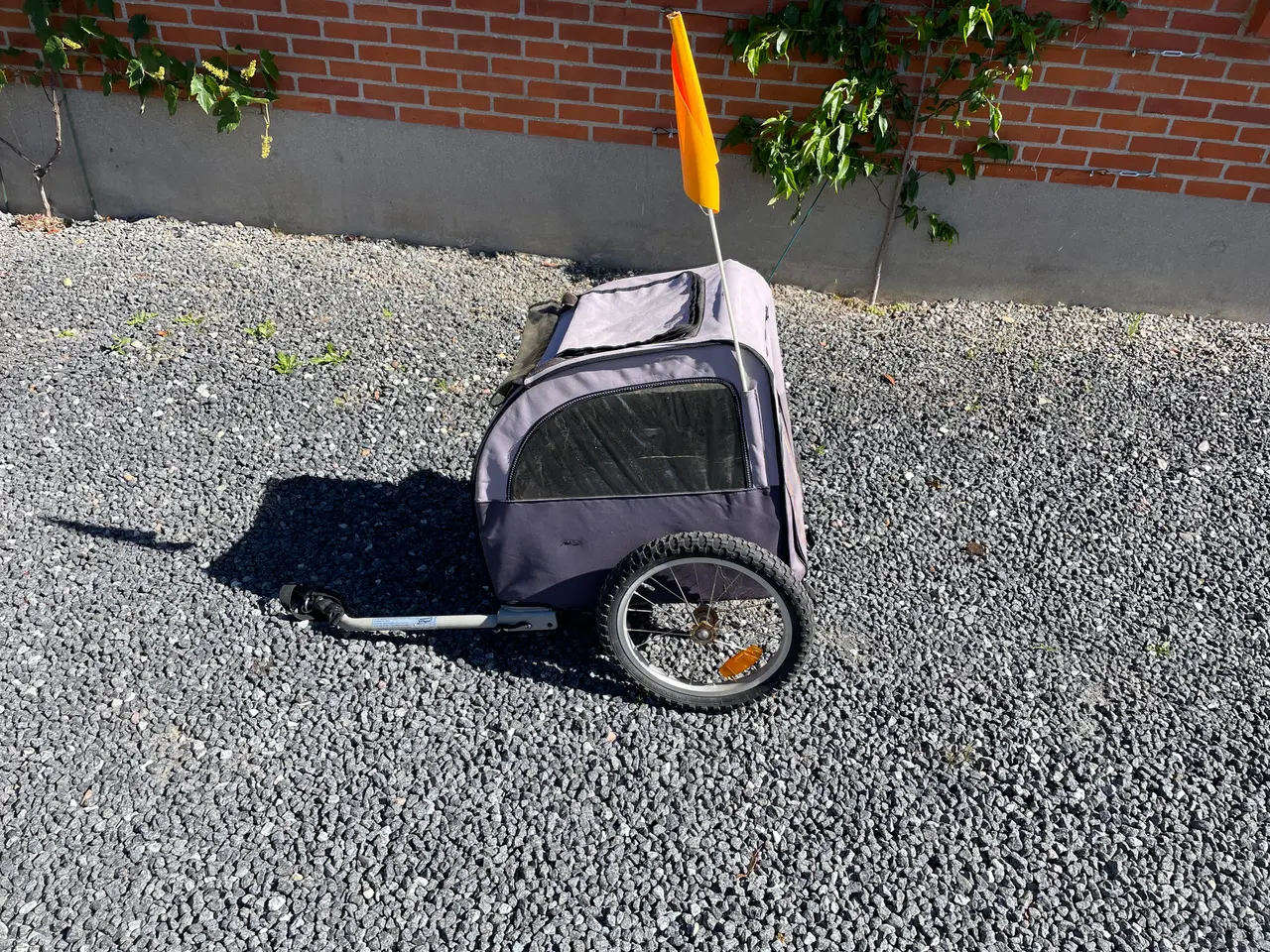 Billede 1 - Cykletrailer til hund