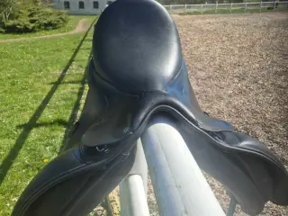 Bates arena high wither 171/2"