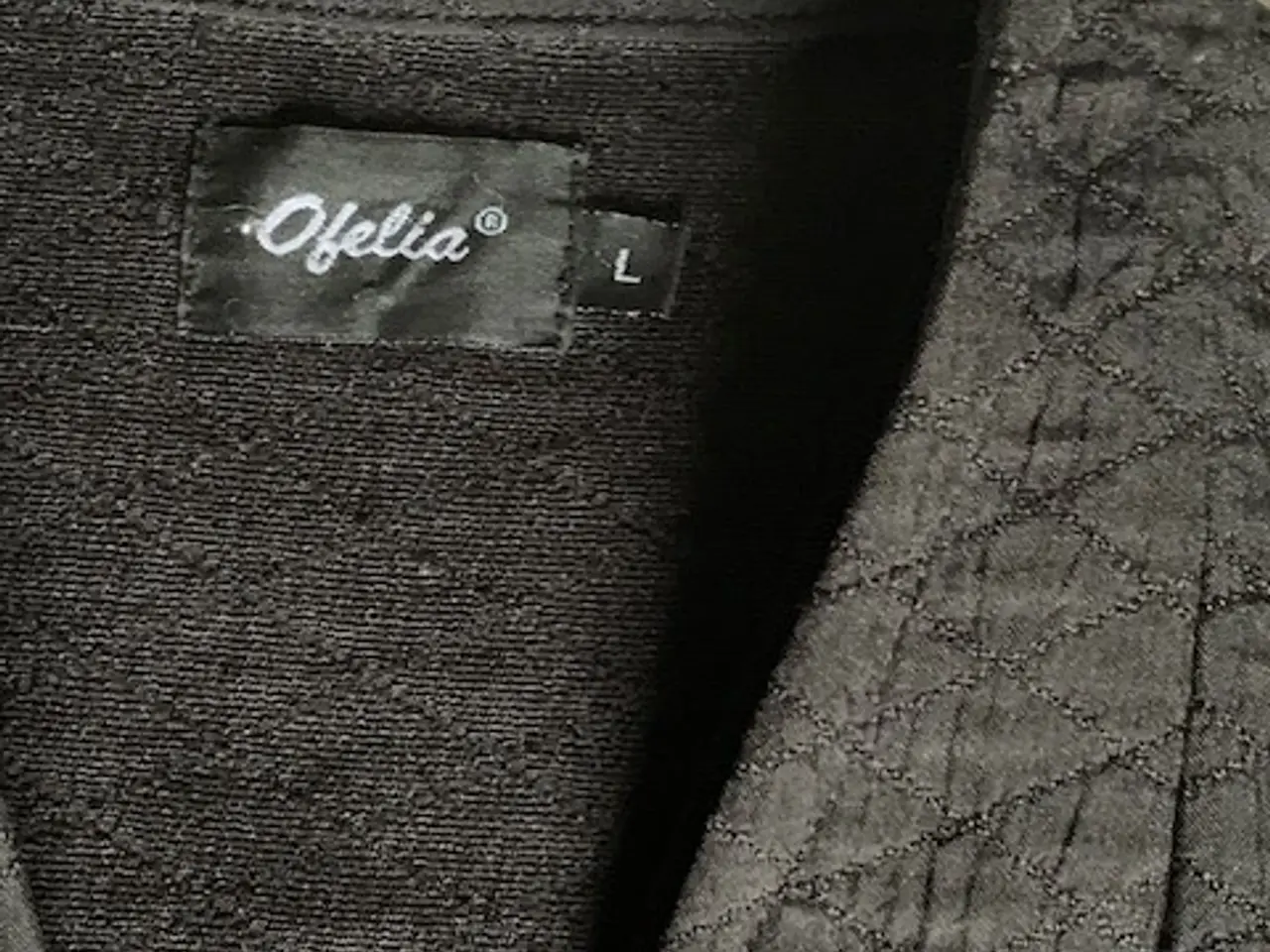 Billede 5 - Jakke / blazer og skjorte str. L Samlet pris 60 kr