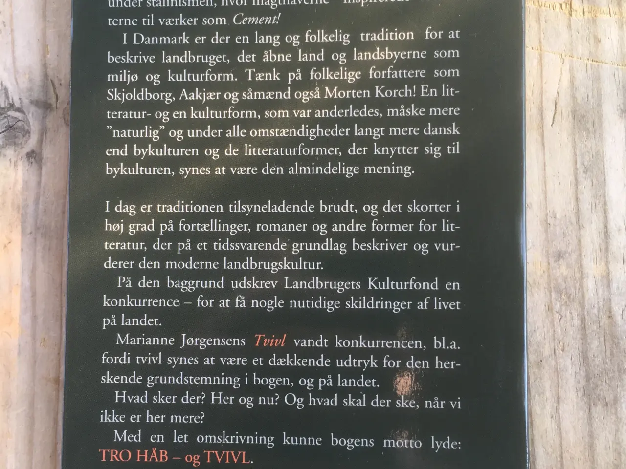 Billede 2 - Tvivl: 14 fortællinger om livet på landet