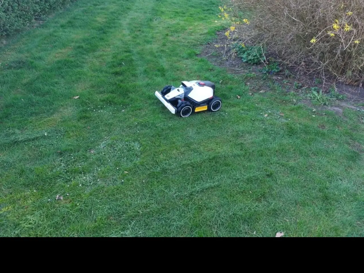 Billede 2 - Robotplæneklipper Mammotion