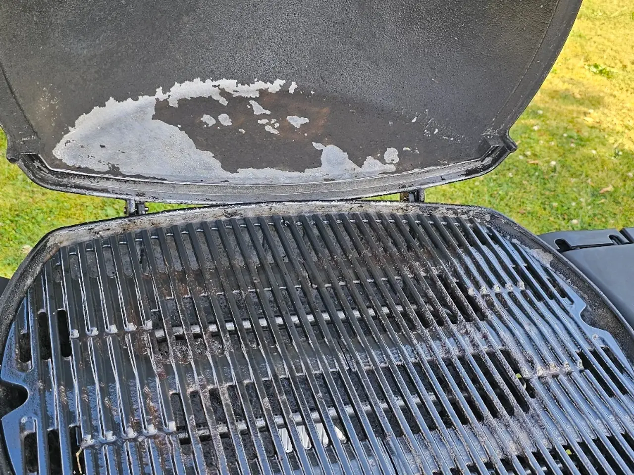 Billede 3 - Weber Q300