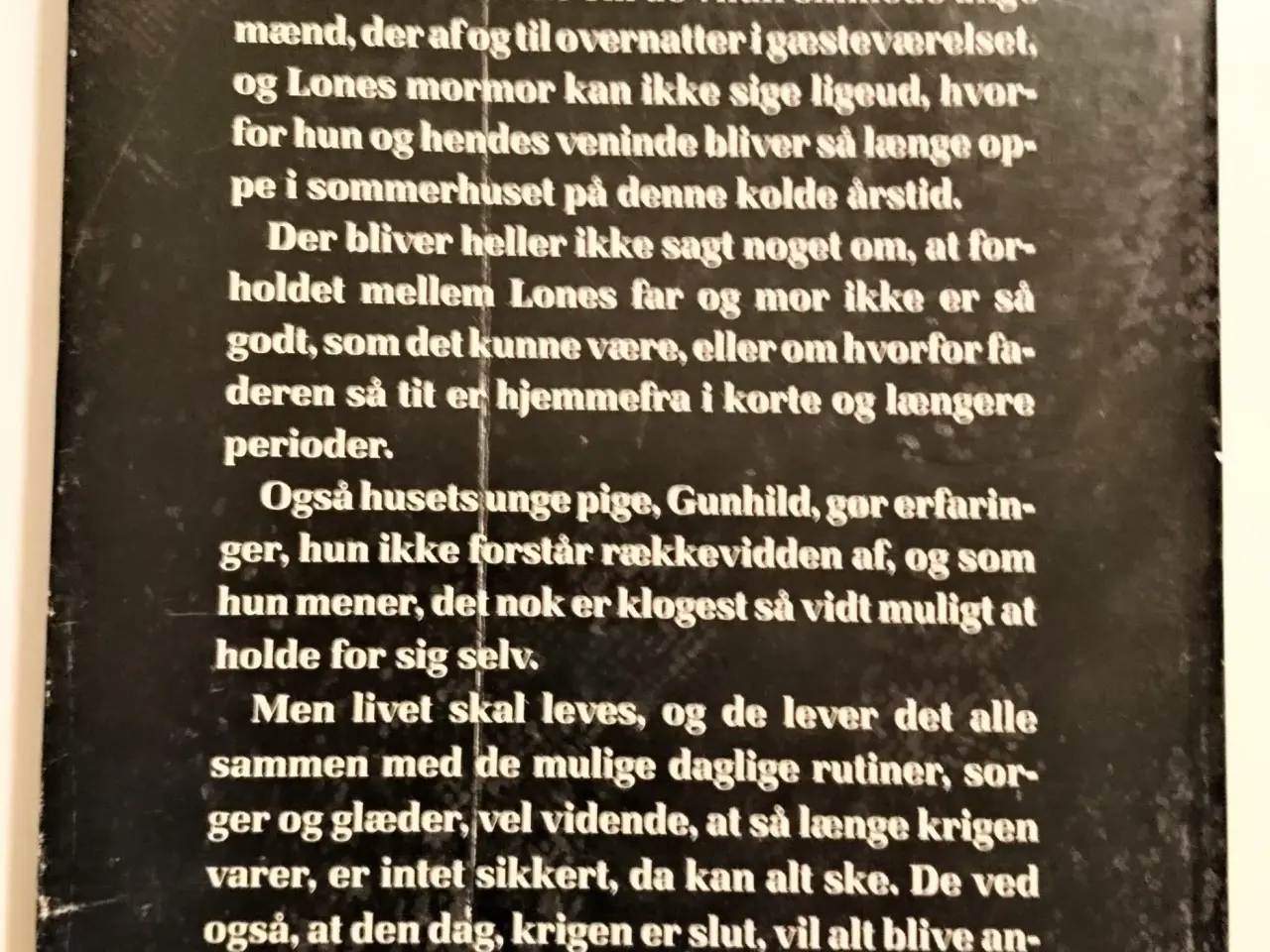 Billede 2 - Den femte vinter - En besættelsestidsroman