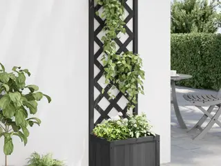 Plantekasse med espalier massivt grantræ sort