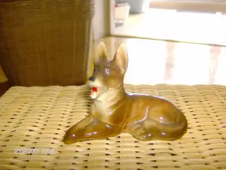 Schæferhund