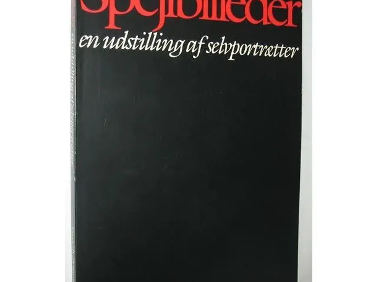 Billede 1 - Spejlbilleder udstil. af selvportrætter