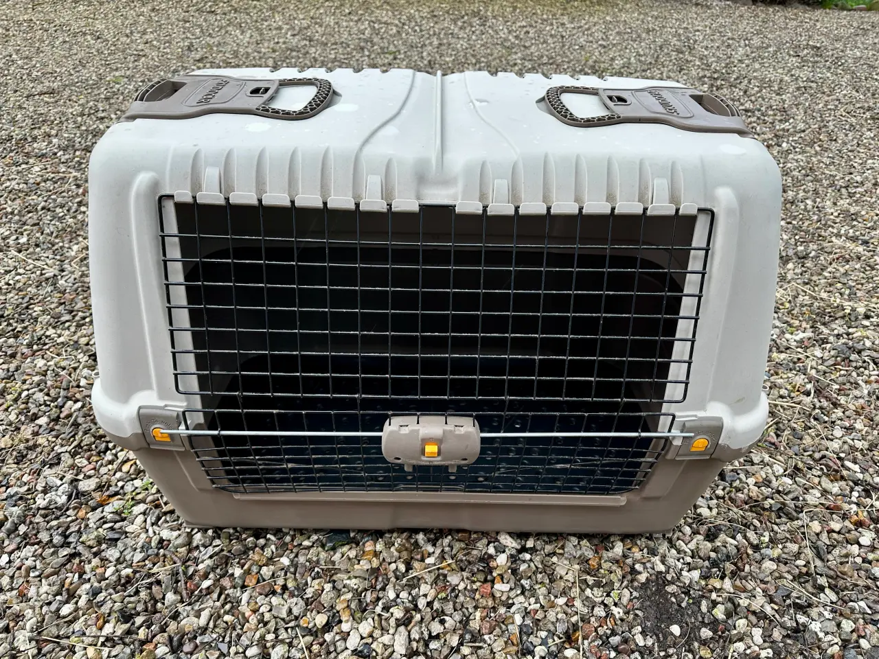Billede 1 - Transportbur til hund, Skudo Car