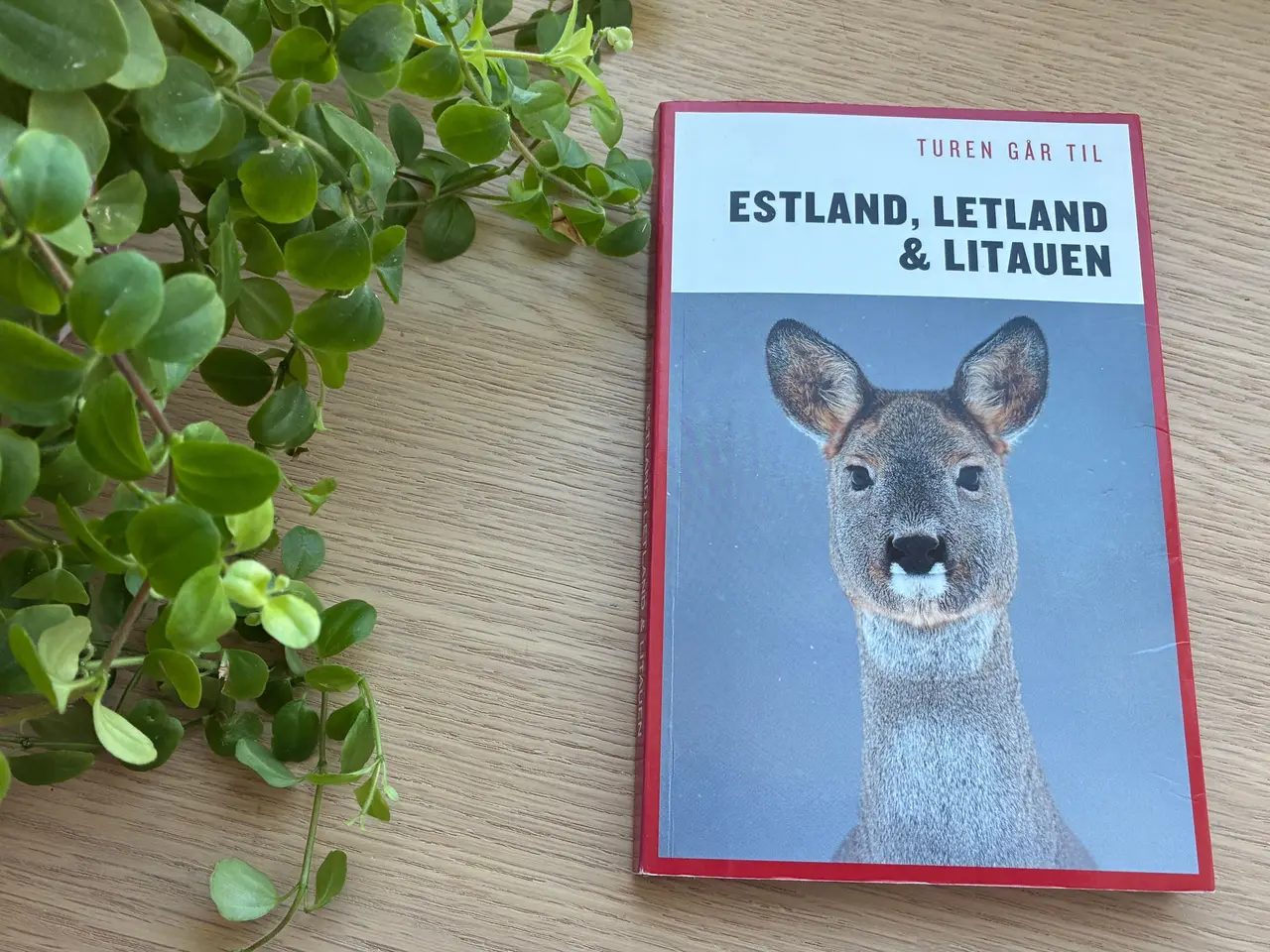 Billede 1 - Turen går til Estland, Letland & Litauen