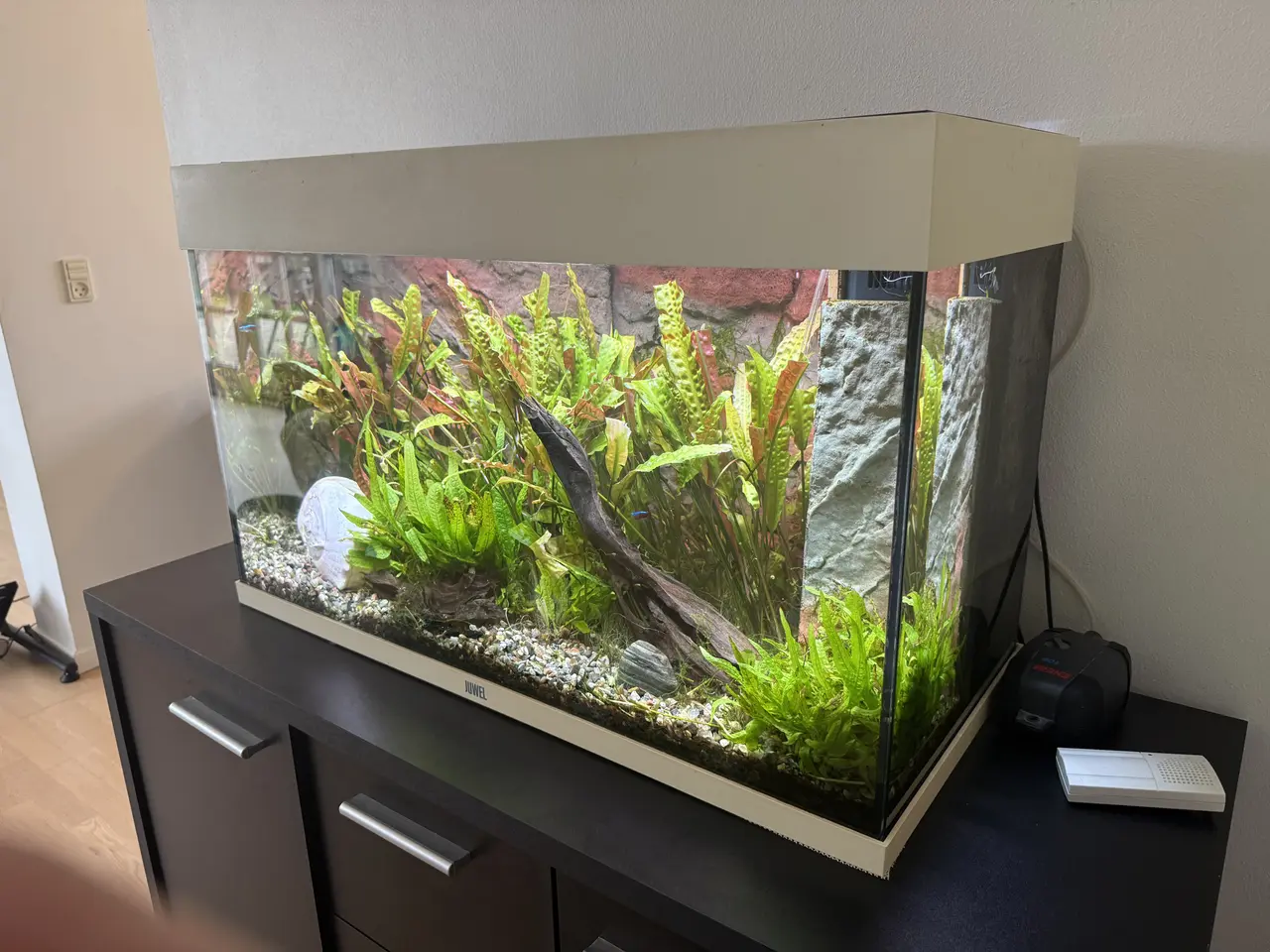 Billede 3 - Akvarium med alt tilbehør