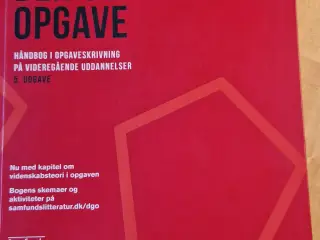 Den gode opgave