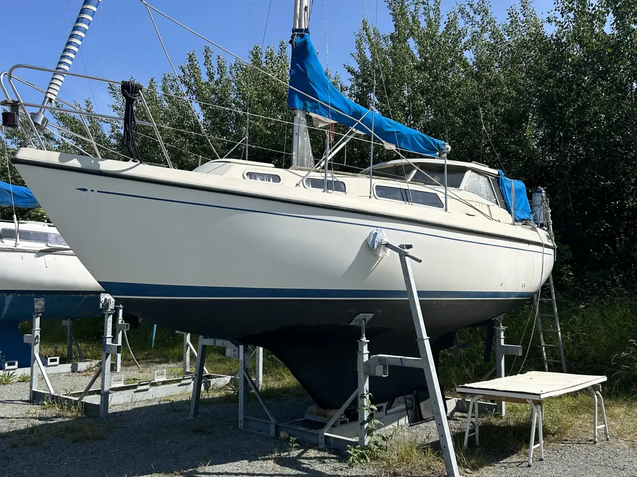 Billede 4 - Billig Maskot 28 Motor sejler