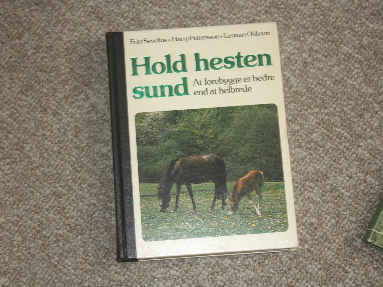 Billede 1 - Hold hesten sund