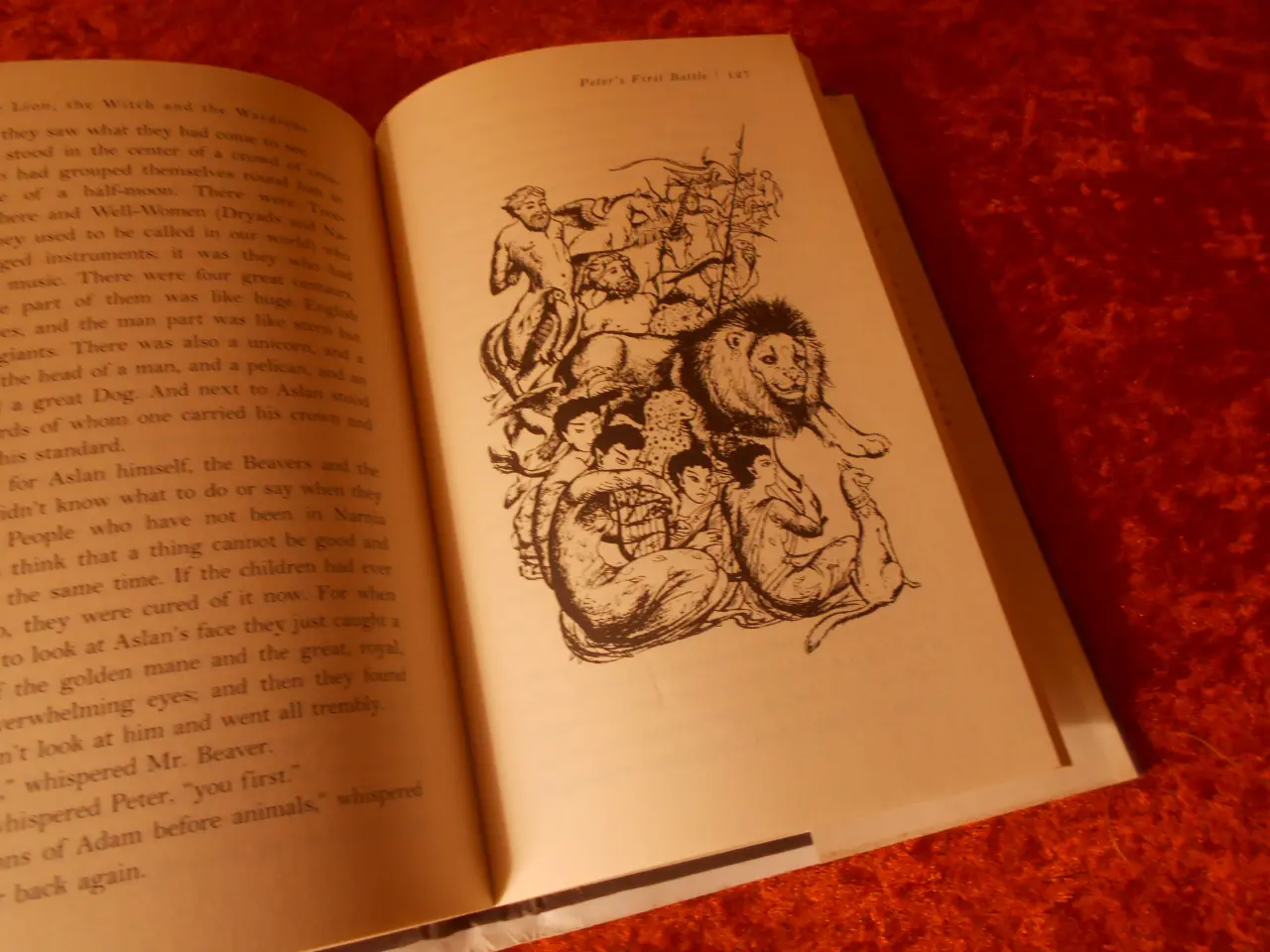 Billede 4 - The lion, the witch and the wardrobe, C. S. Lewis
