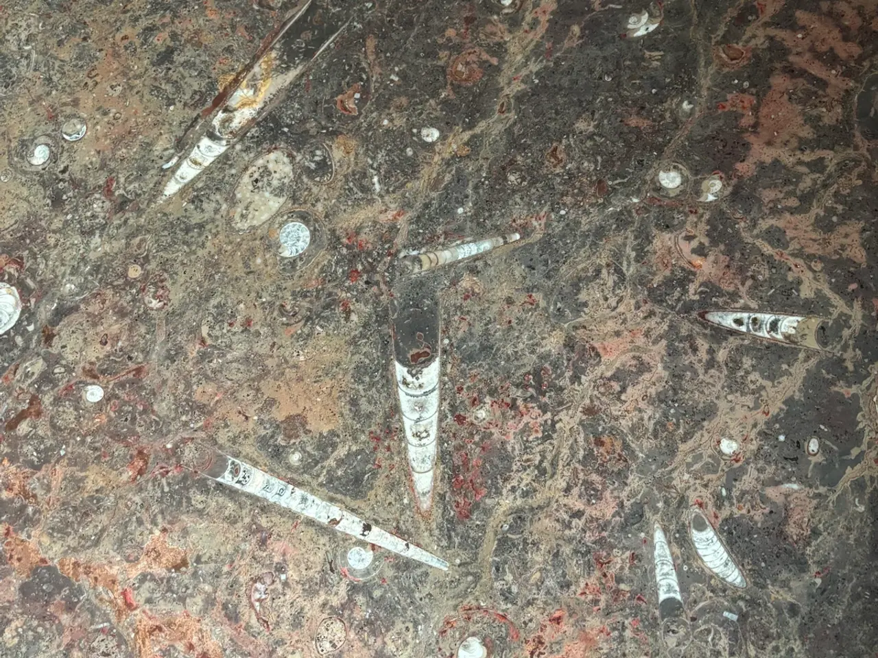 Billede 2 - Sofabord med bordplade af fossiler