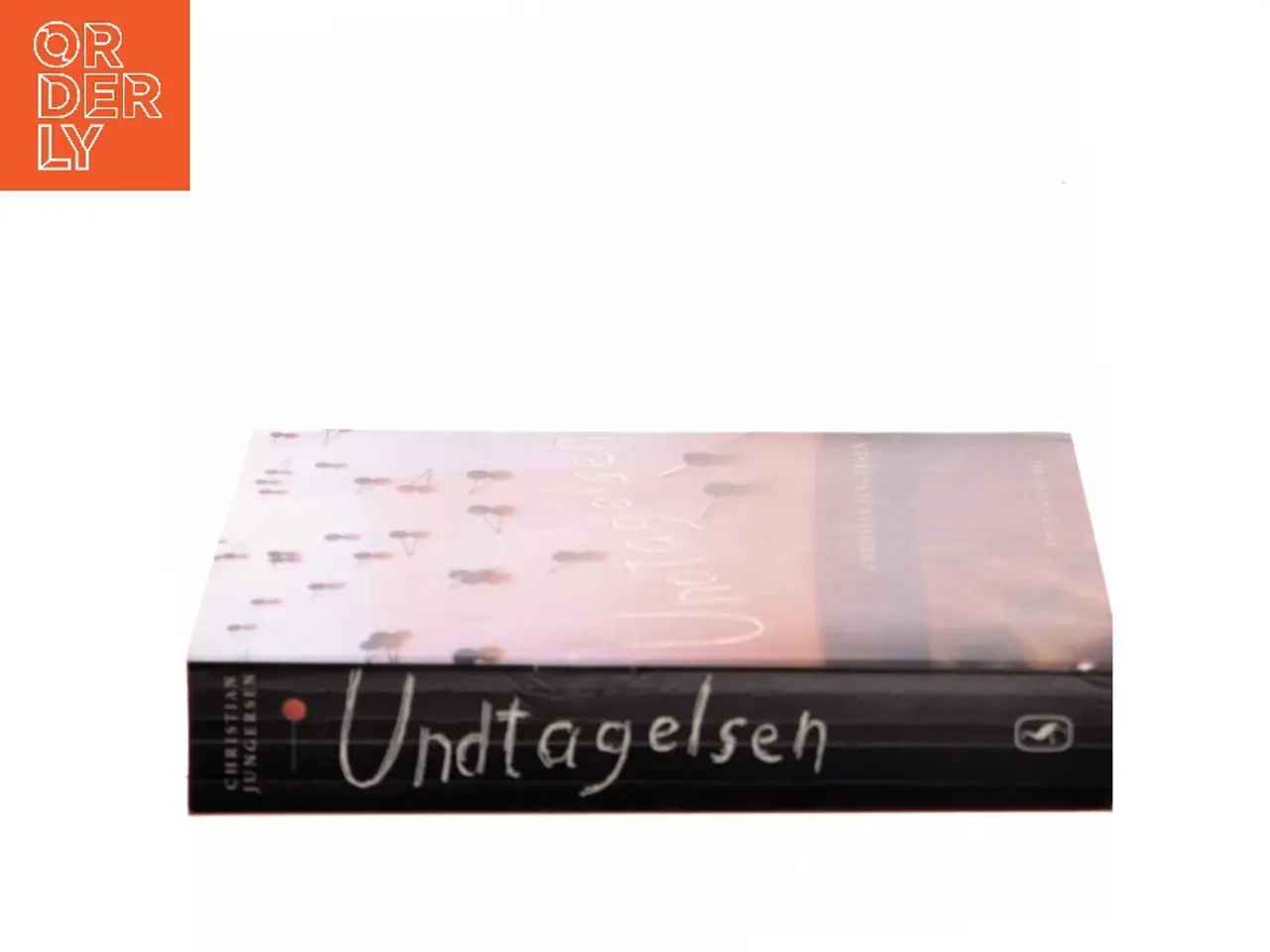 Billede 2 - Undtagelsen af Christian Jungersen (Bog)