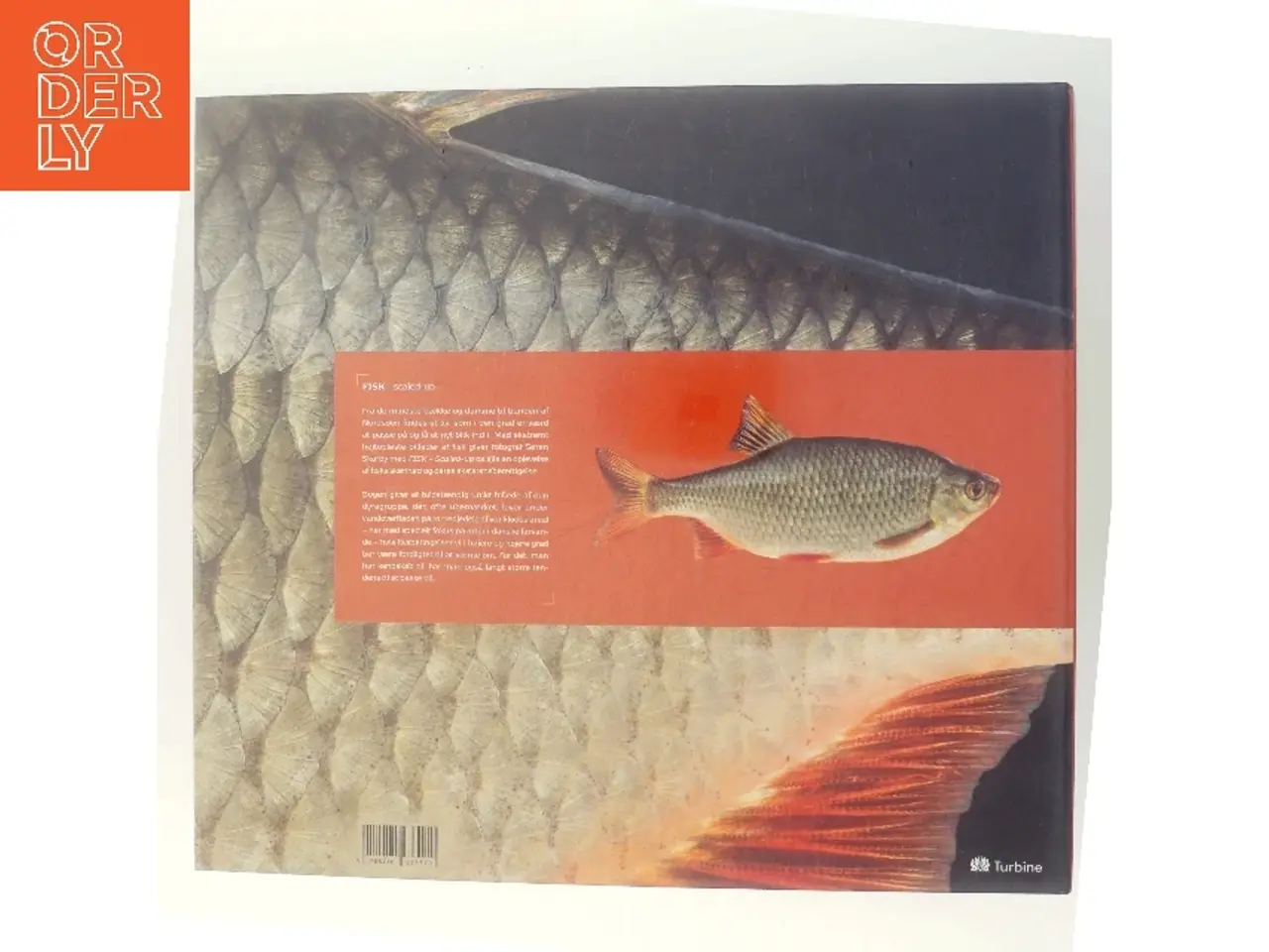 Billede 3 - Fisk Scaled-Up af Søren Skarby (Bog)