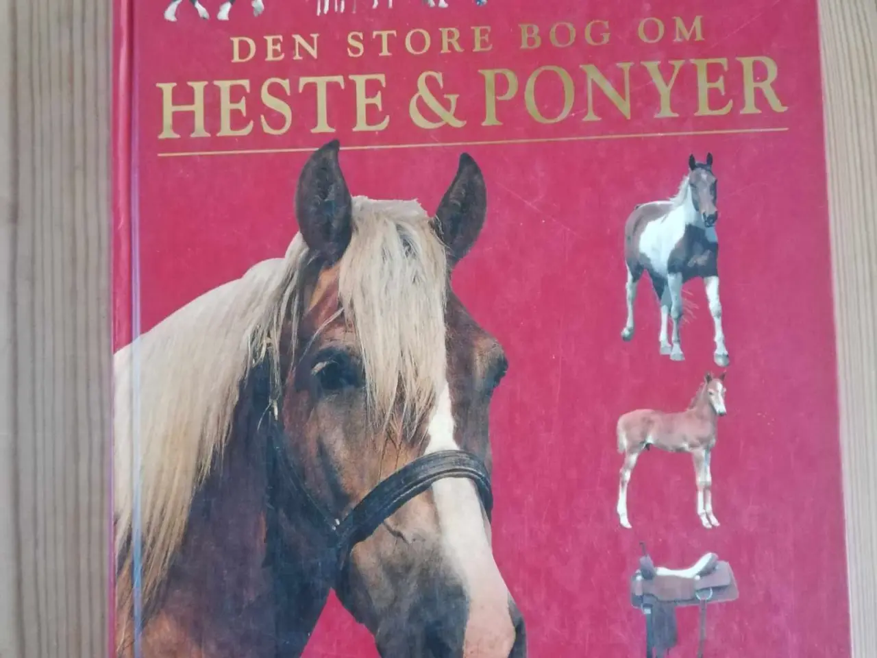 Billede 6 - Hestebøger - fagbøger