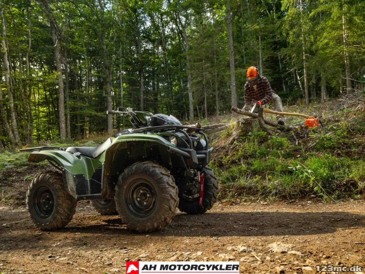 Billede 3 - Yamaha Kodiak 700 EPS STD