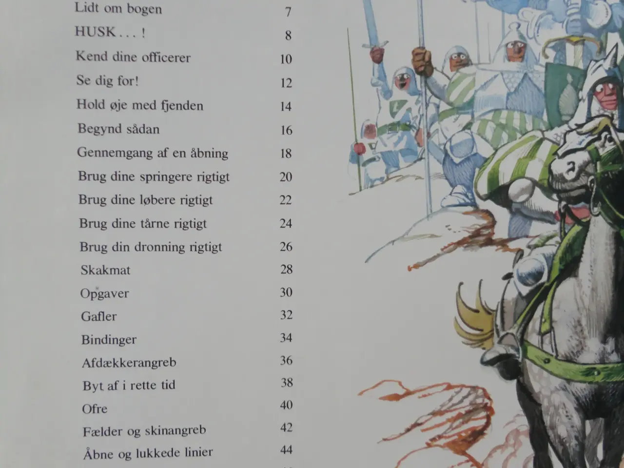 Billede 6 - SKAK for unge :