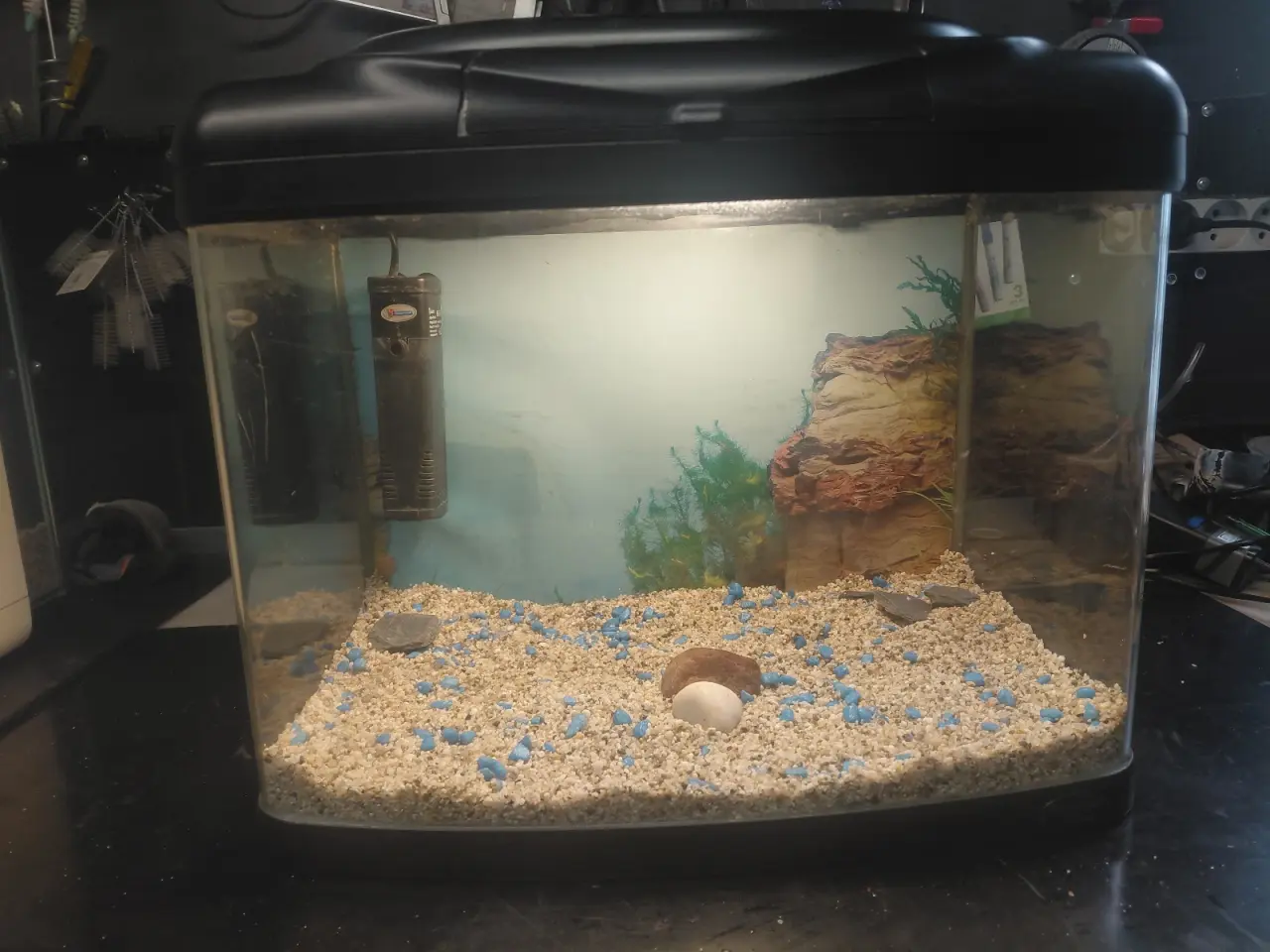 Billede 1 - Akvarier 20L