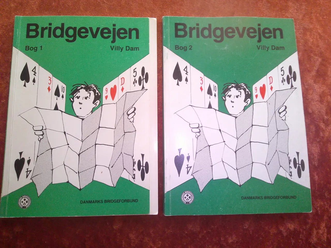 Billede 1 - Bridgevejen, Villy Dam,
