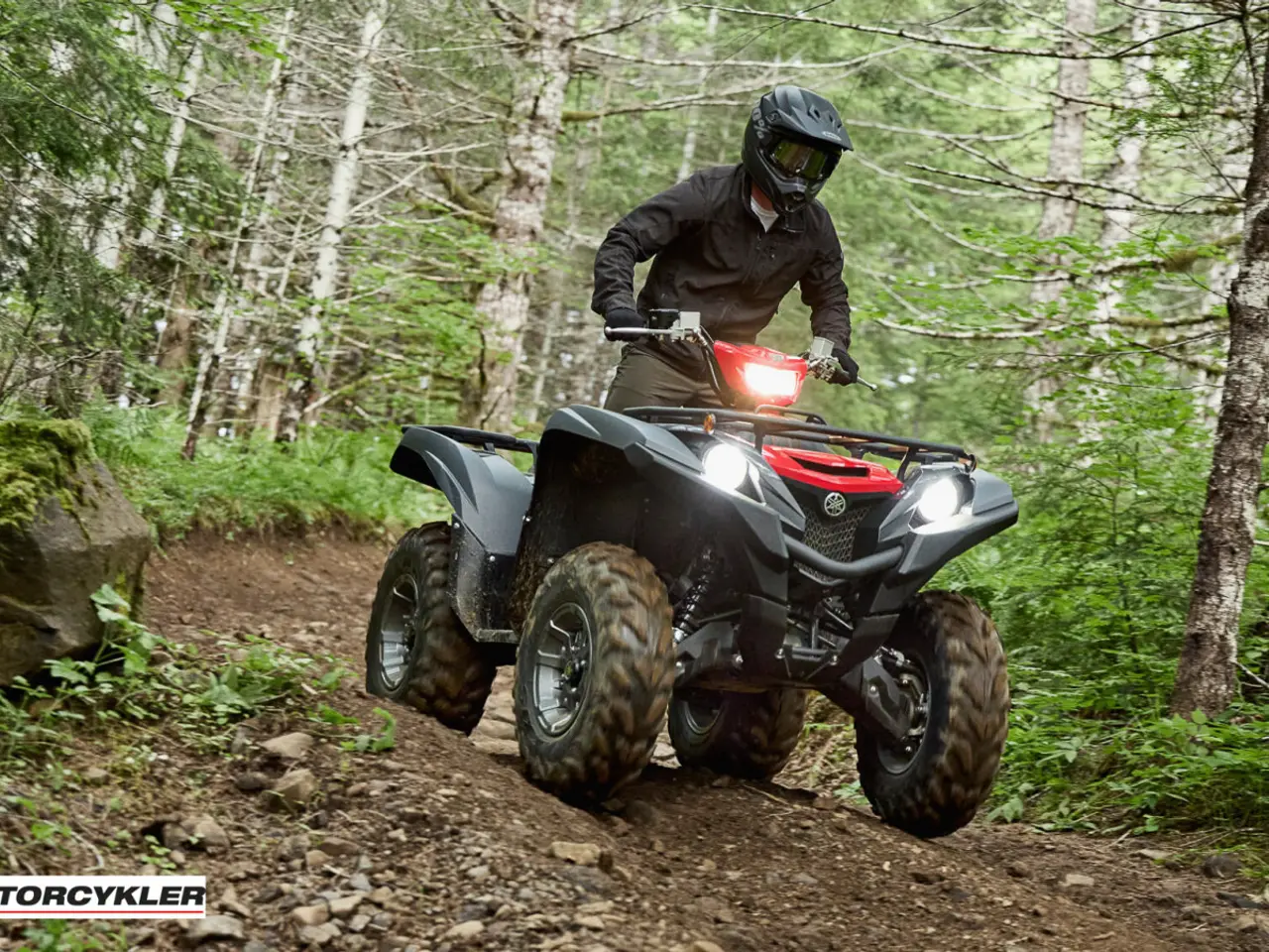 Billede 9 - Yamaha Grizzly 700 EPS Traktor